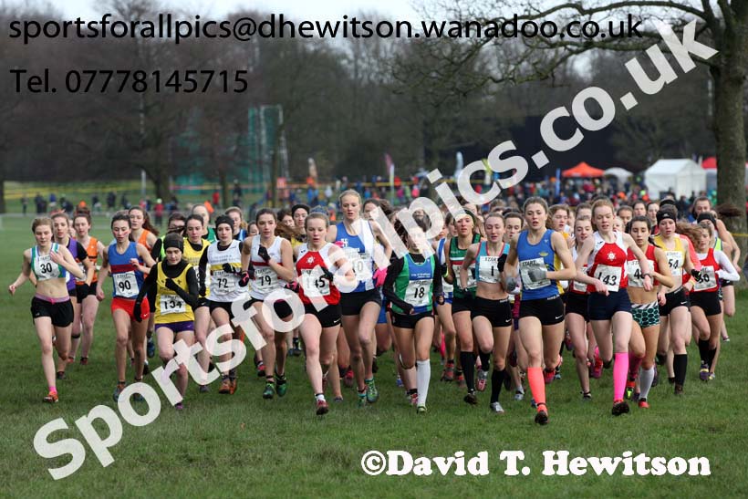 Womens under-17 Northern Cross Country Champs., Witton Park, Blackburn. Photo: David T. Hewitson/Sports for All Pics